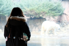 シロクマへの思い
