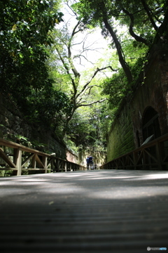 道　猿島