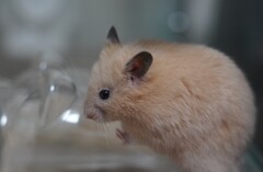 うーん、なやむ