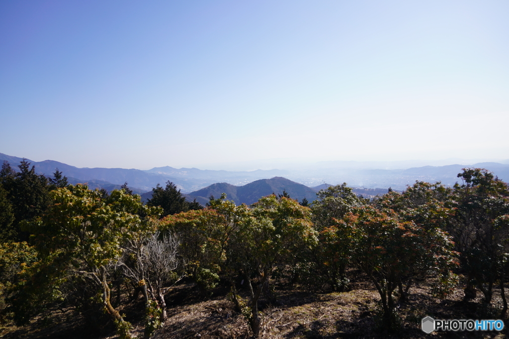 シダンゴ山からの風景
