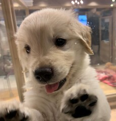 私はかわいいって知っているわよ～