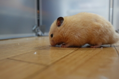 下見ているの？