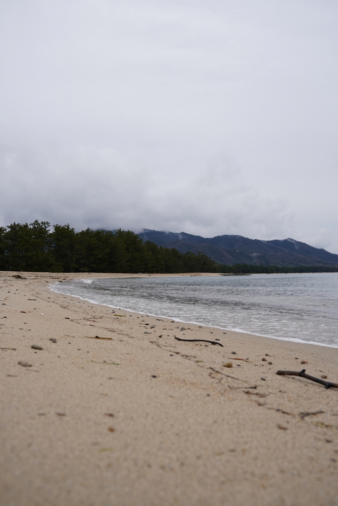 天橋立の海岸