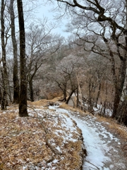 塔ノ岳はちょっと雪