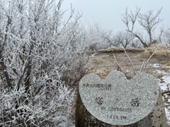 塔ノ岳の霧氷　3