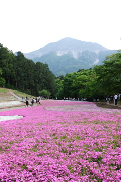 羊山公園