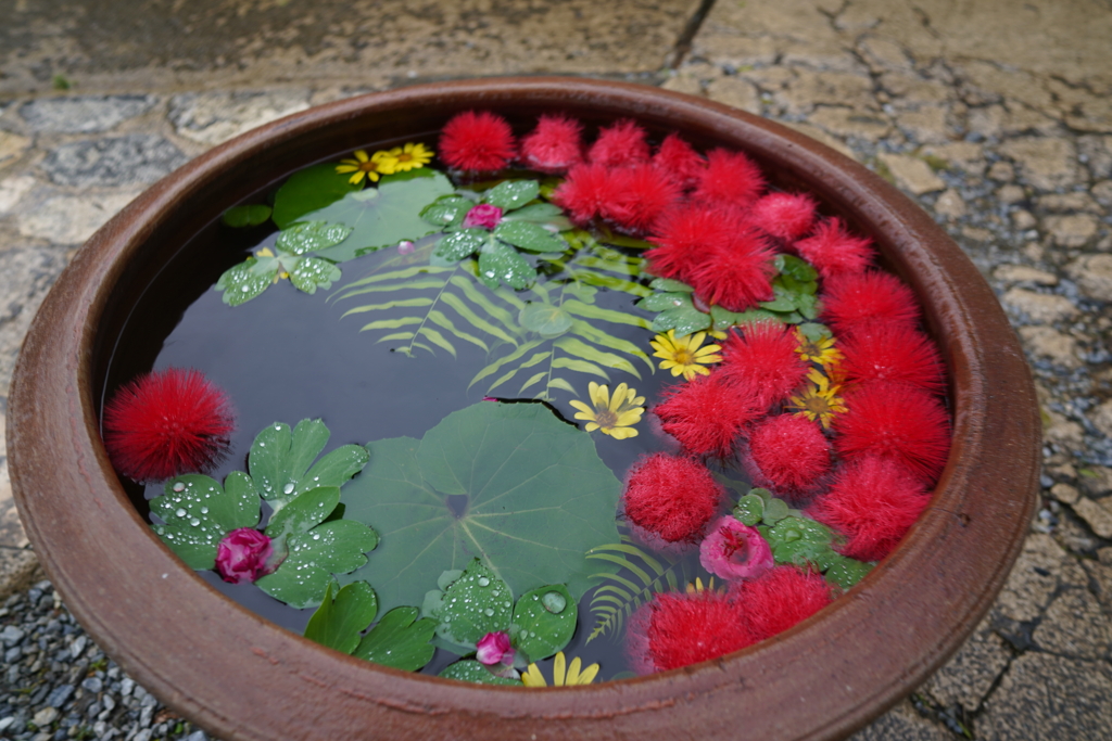 お出迎えのお花
