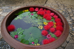 お出迎えのお花