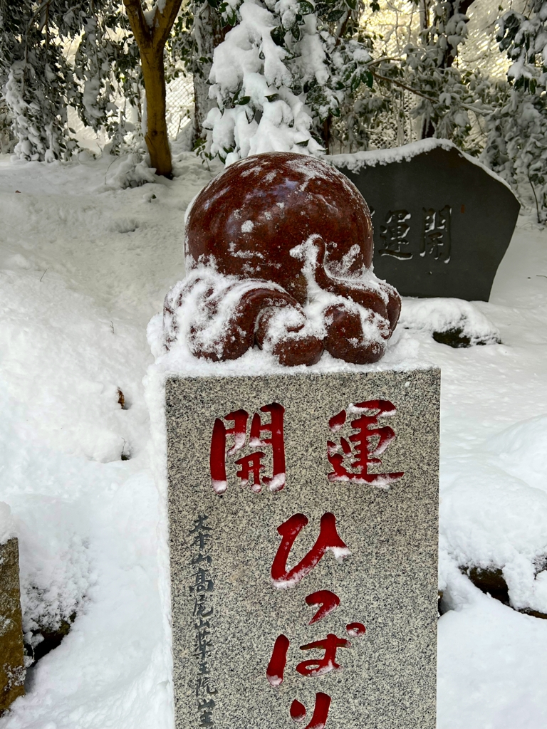 ひっぱりだこ