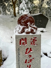 ひっぱりだこ