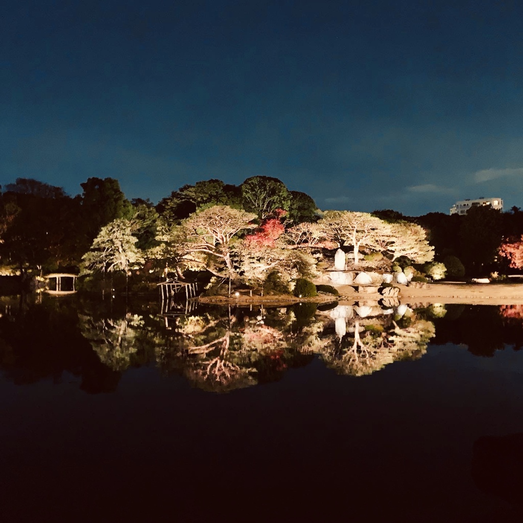 夜の六義園ライトアップ