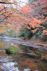 紅葉