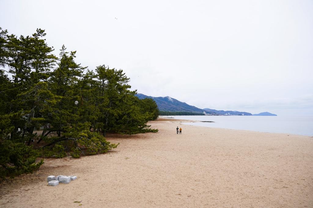 天橋立
