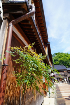 東茶屋