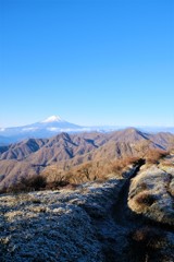 丹沢からの富士山
