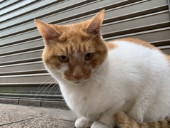 あなた今日は幸せになる相が出てますよ