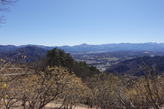 宝登山からのロウバイと武甲山