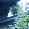 雨の日３