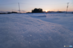 夕方の雪