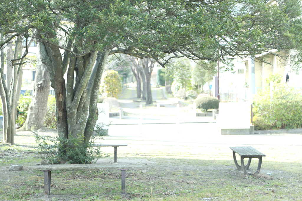 公園