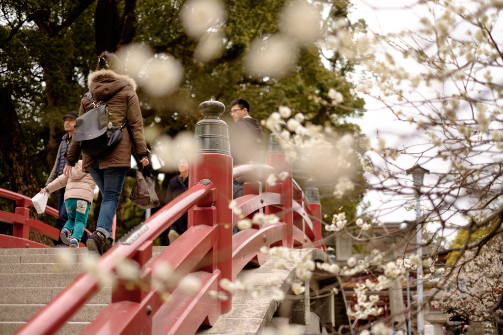 太宰府天満宮にて