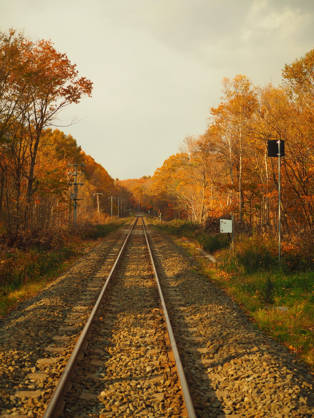 Rail