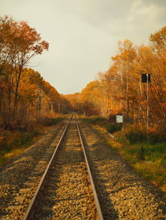 Rail