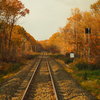 Rail
