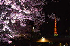 夢見て
