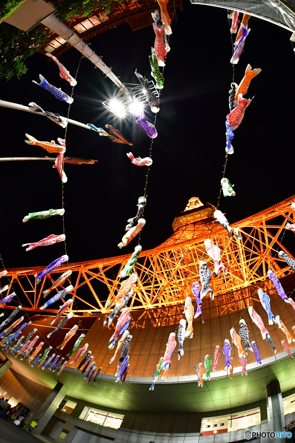 東京タワーと333匹の鯉のぼり