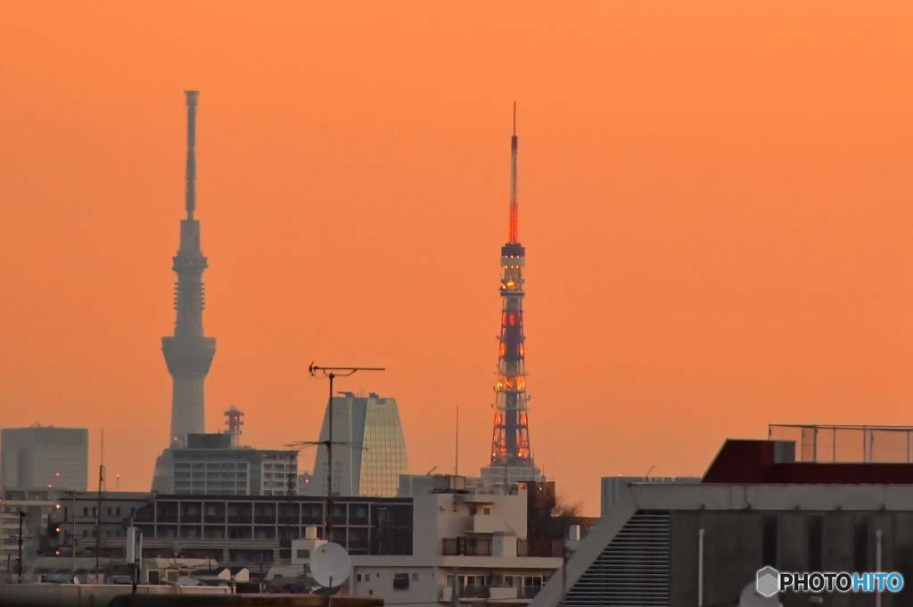 スカイツリーと東京タワー