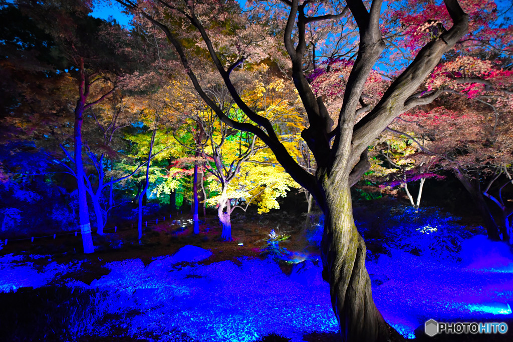 六義園