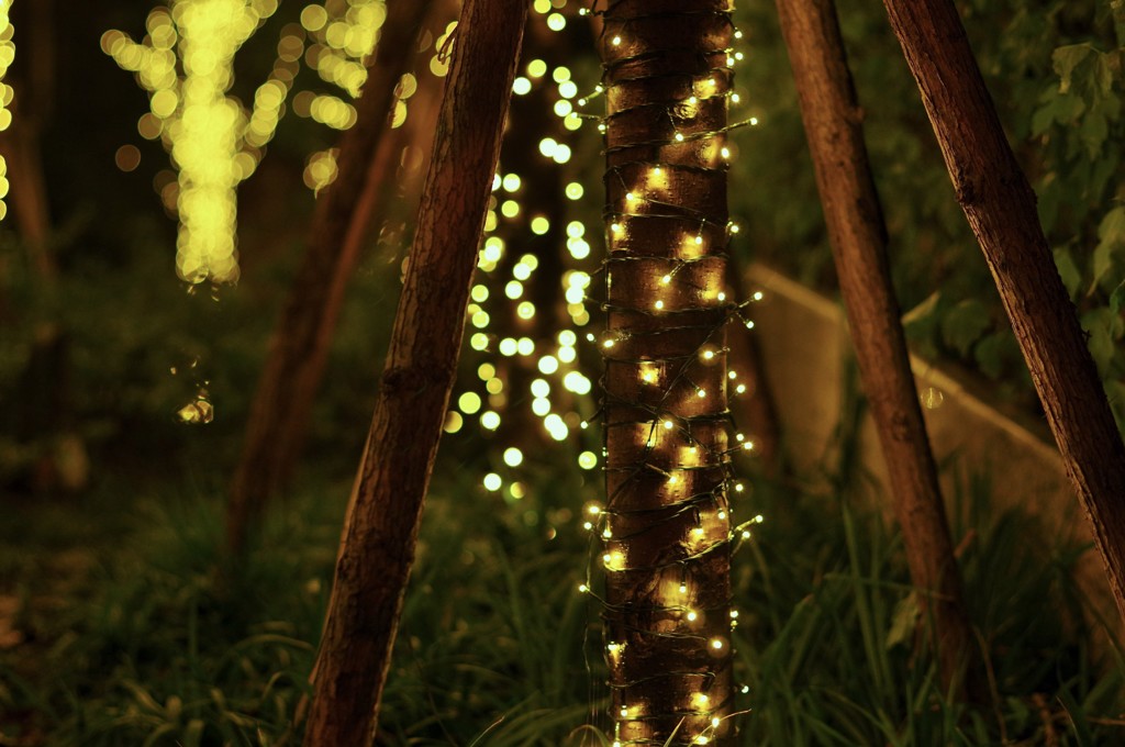 Light up　Tree