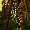 Light up　Tree