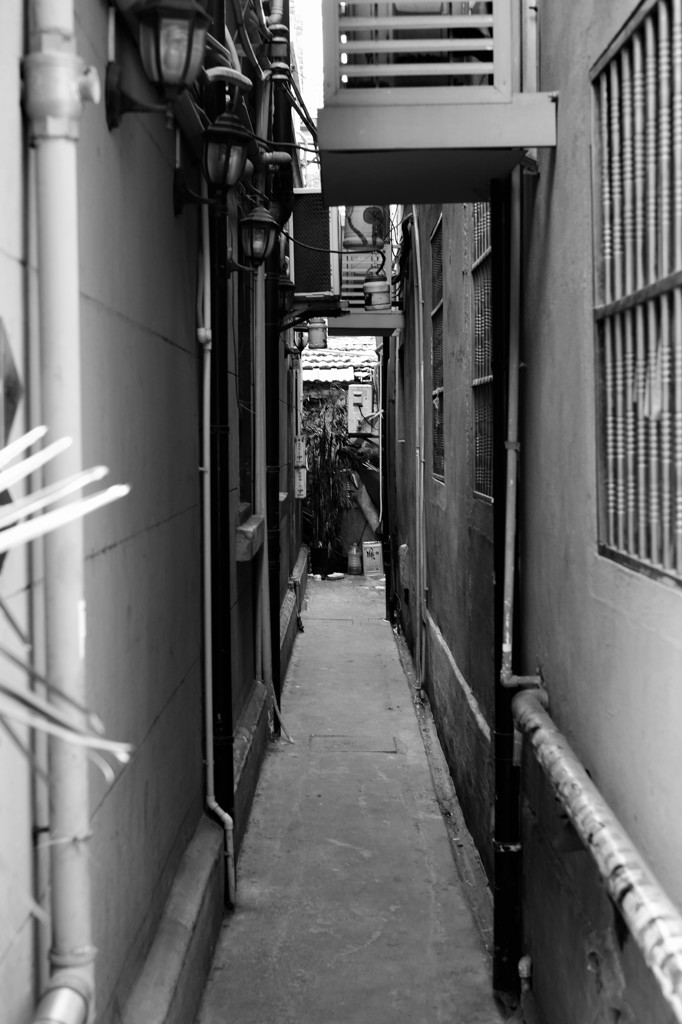 抜け道だ