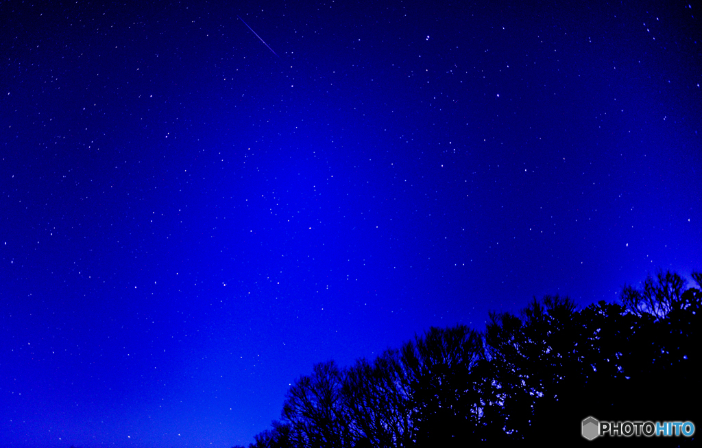 自然のプラネタリウム