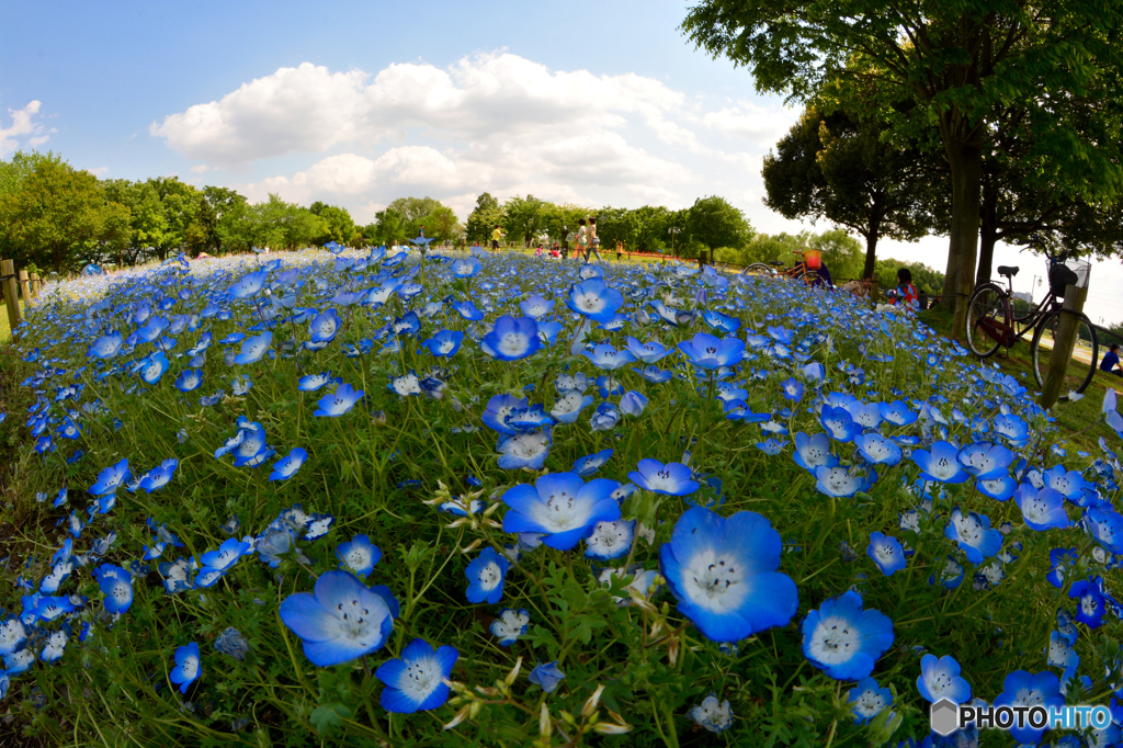 Blue