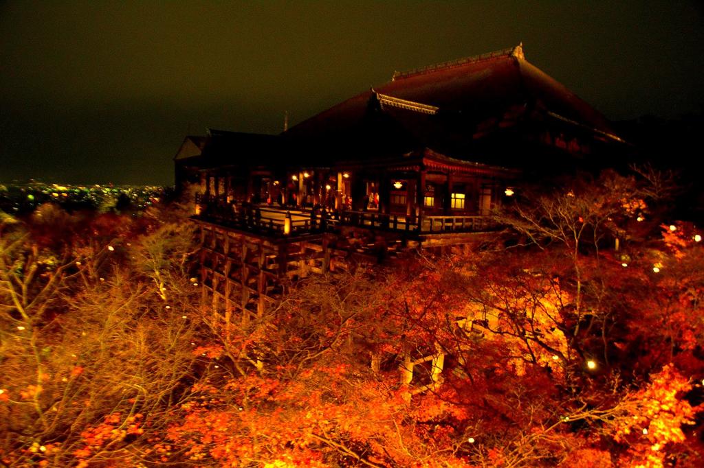燃え盛る紅葉