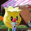 となみチューリップフェア(18)