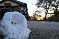 ウサギのおうち