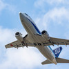 青空に青い機体