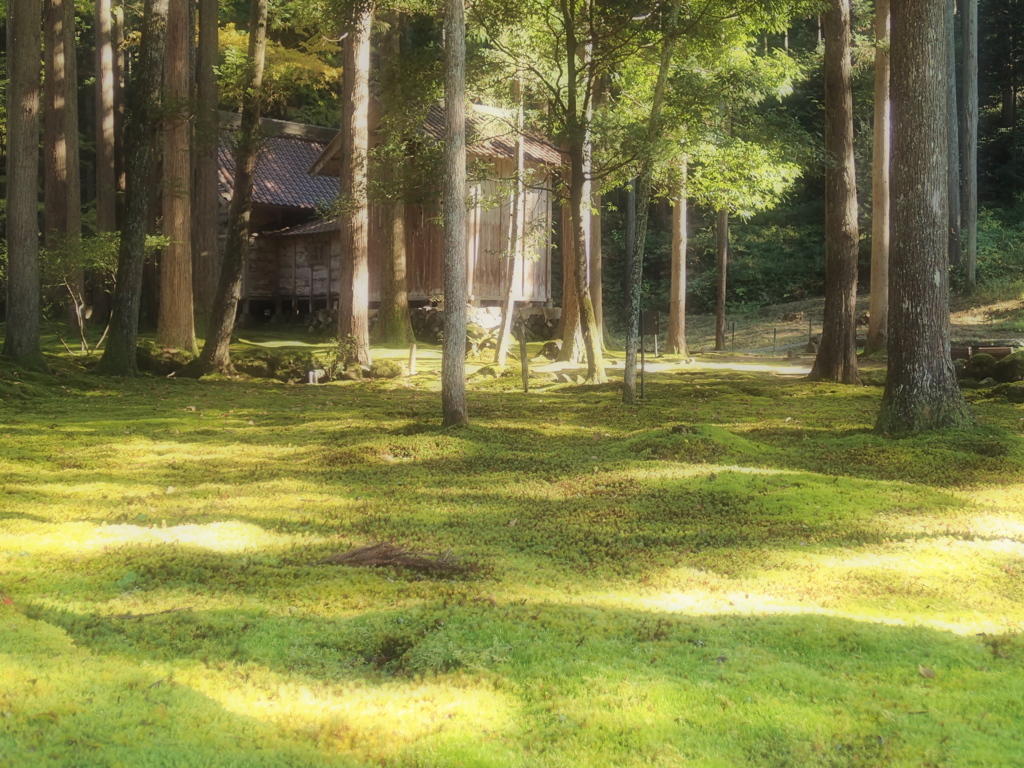 苔の里(7)