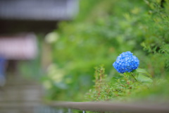 門前