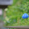 門前