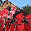 よさこい(5)