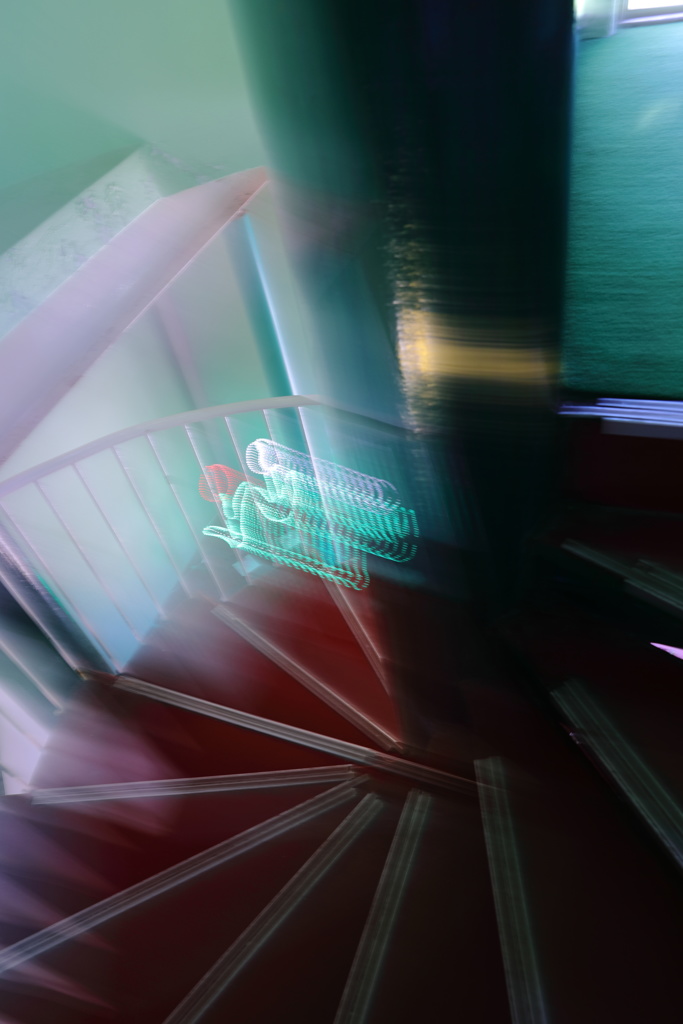 残像を残して逃げるチューリップ