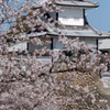 石川櫓