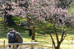 梅の花の前で