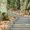 散策路