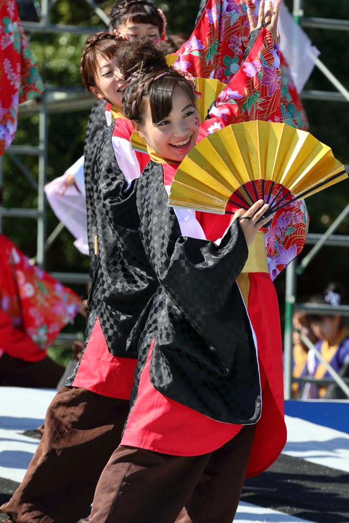 よさこい(1)